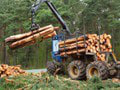 Polícia začala systematické kontroly: Chce zamedziť nelegálnym aktivitám s drevom