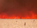 VIDEO Španiela obletelo svet: Chcel ochrániť mesto pred požiarom, sám uviazol v horiacom pekle