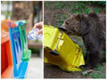 Veľký test nového odpadkového koša: Ohrozeniu medveďom malo zabrániť toto? Výsmech po pár minútach!