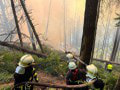 Požiar v Národnom parku České Švajčiarsko: Evakuovaní obyvatelia Hřenska sa môžu vrátiť domov