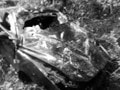 Polícia vyšetruje dopravnú nehodu na Horehroní, pri ktorej zahynul spolujazdec