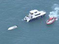 Zrážka s veľrybou? Nehoda lode pri Novom Zélande si vyžiadala päť obetí