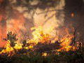 VIDEO Na juhozápade Francúzska vyčíňajú lesné požiare: Stovky ľudí evakuovali