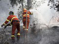 V prímorskom letovisku na juhozápade Turecka vypukol lesný požiar