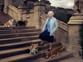 Osud kráľovnej miláčikov je spečatený: Psy Alžbety II. majú nových majiteľov… Teraz sa o ne stará TÁTO ŽENA!