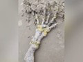 Desivý objav na pláži: Dvojici sa pod nohy priplietla hororovo vyzerajúca ruka