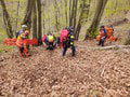 AKTUÁLNE Nešťastie vo Veľkej Fatre: Lesného robotníka zavalil strom! Previezli ho do nemocnice