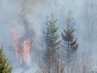 Vo Vysokých Tatrách horia desiatky hektárov trávy a krovia