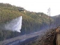 Hasiči úspešne likvidujú požiar porastu a rúbaniska medzi obcami Hranovnica a Vernár