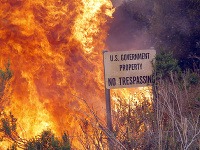 Požiare v Kalifornii ohrozujú už 4-tisíc domov