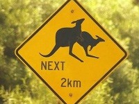 Značka upozorňuje na páriace sa kengury