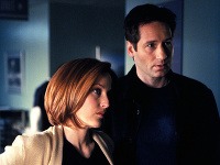 Gillian Anderson a David Duchovny v kultovom seriáli Akty X stvárňovali zvláštnych agentov.