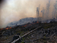 Lesný požiar v ťažko prístupnom teréne nad Betliarom a Gemerskou Polomou.