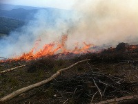 Lesný požiar v ťažko prístupnom teréne nad Betliarom a Gemerskou Polomou.