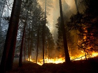 Lesný požiar sa rozšíril aj do Yosemitského národného parku