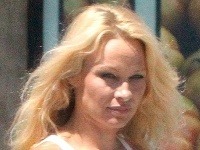 Vyžitá Pamela Anderson po plastikách nadobúda nevábne kontúry mačacej ženy.