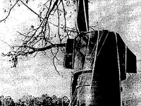 Záber na bombu v roku 1961.