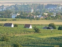Strekov šetrí, ako sa dá a darí sa jej to Strekov šetrí, ako sa dá a darí sa jej to