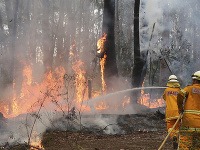 Hasiči bojujú s takmer 60 požiarmi