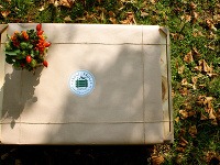 Nápad debničkovať sa zrodil ako iniciatíva troch, pre kvalitnú gastronómiu zanietených mladých dám, ktoré sa samy snažia zdravo a kvalitne stravovať.