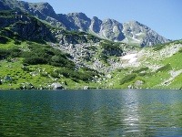 Do hôr za poplatok?