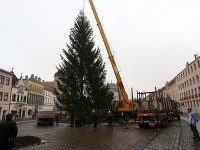 Košičania už majú vianočný stromček: Rozsvietia ho 5. decembra
