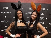Sexi playmateky odokryli výstrihy a pokrovú stenu slávy Sexi playmateky odokryli výstrihy a pokrovú stenu slávy