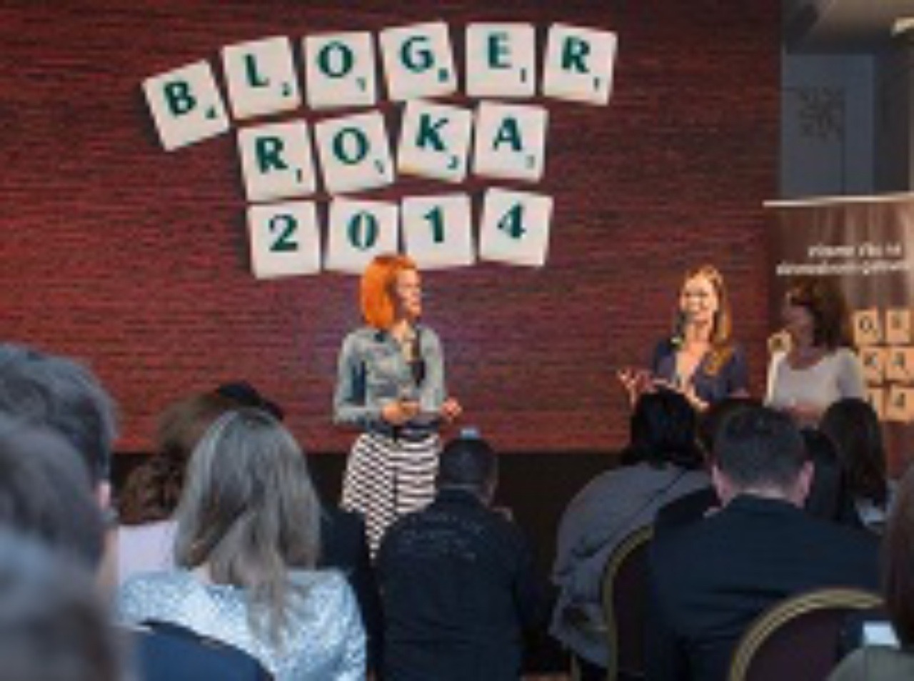 Bloger roka 2014