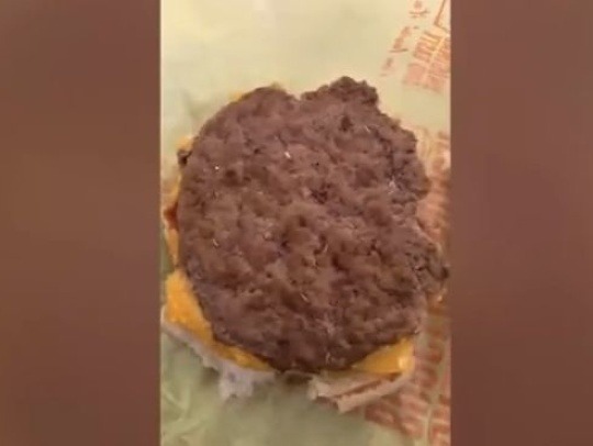 Cheeseburger bol plný červov