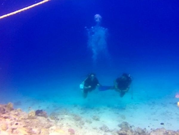 Bublinový kostlivec v Červenom mori