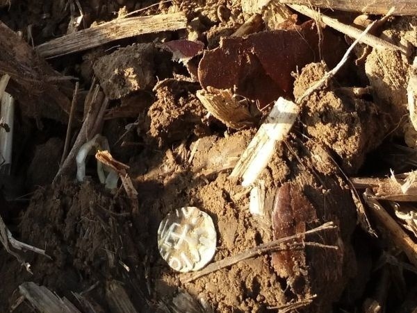 Mince boli schované v pôde