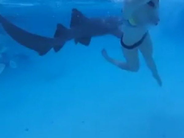 Žralok bleskovo priplával k dievčine