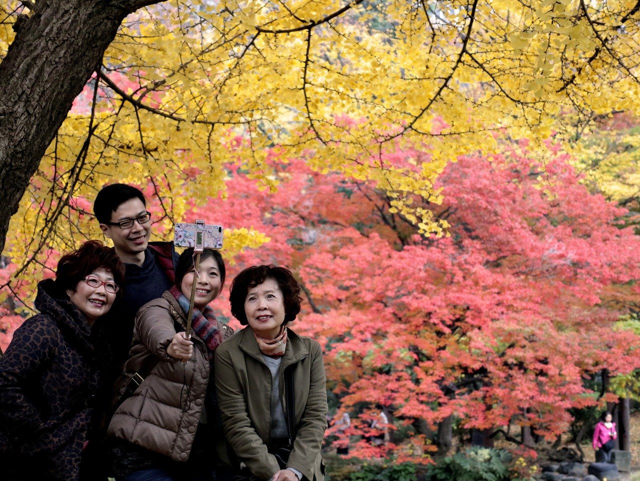 Návštevníci sa fotografujú pod jeseňou sfarbenými stromami v parku Hibija v japonskom Tokiu