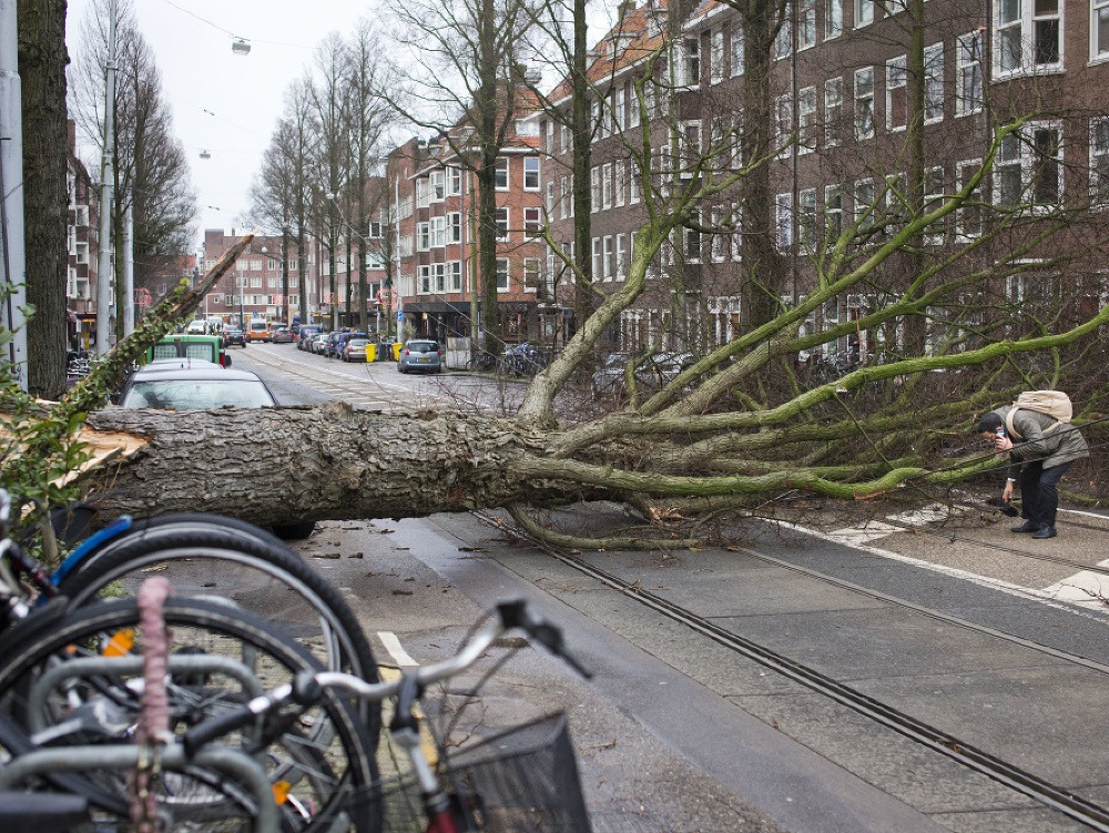 Víchrica v Holandsku váľala stromy.