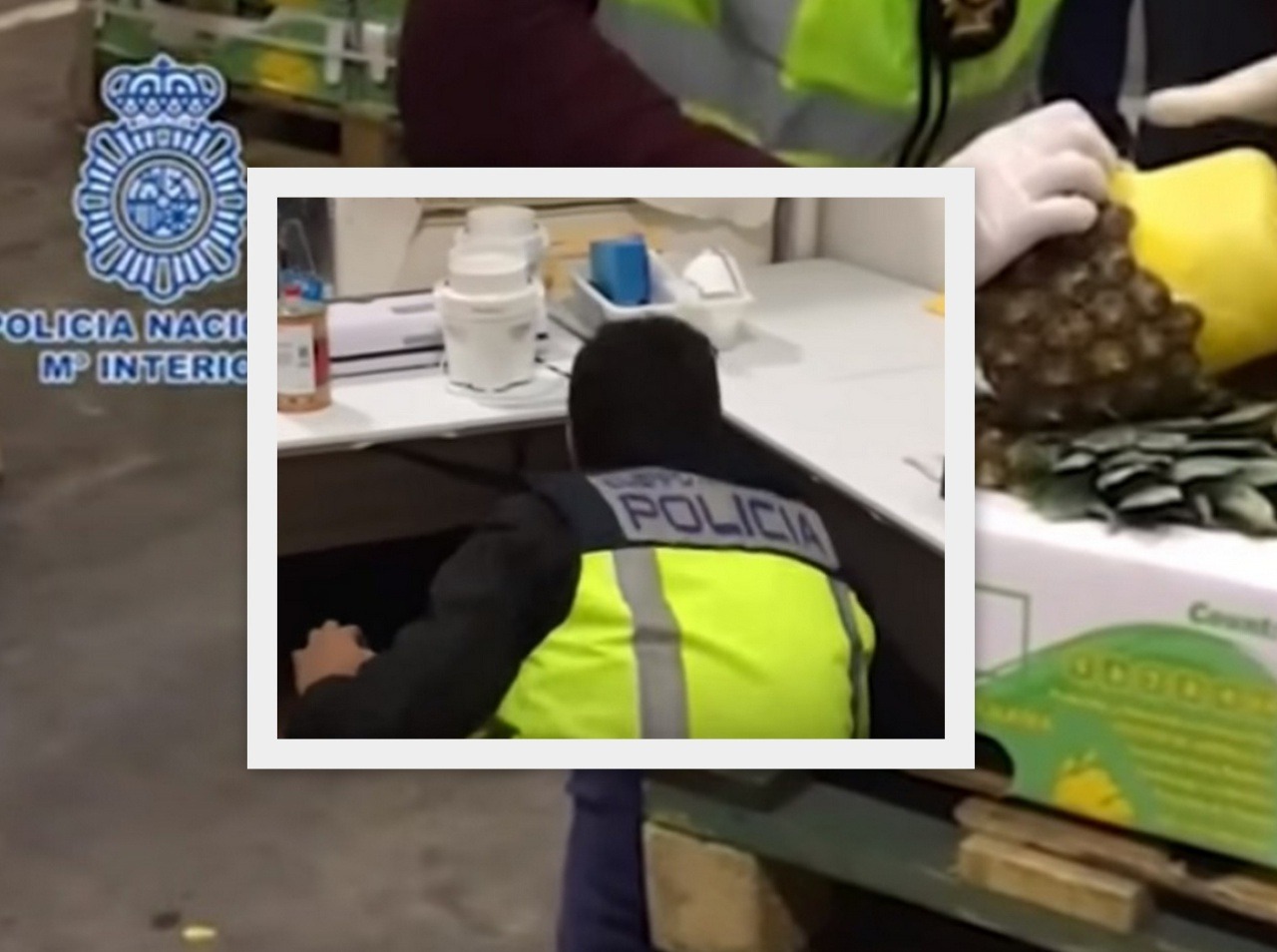 Portugalská a španielska polícia zadržala 745 kilogramov kokaínu v ananásoch
