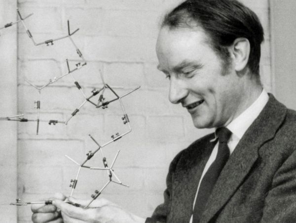 Francis Crick v roku 1953 ukazuje, ako asi vyzerá štruktúra DNA, ktorú spoluobjavil