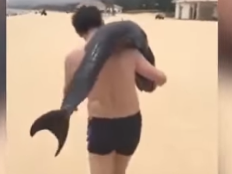 Čínsky turista si prehodil cez plece umierajúceho delfína.