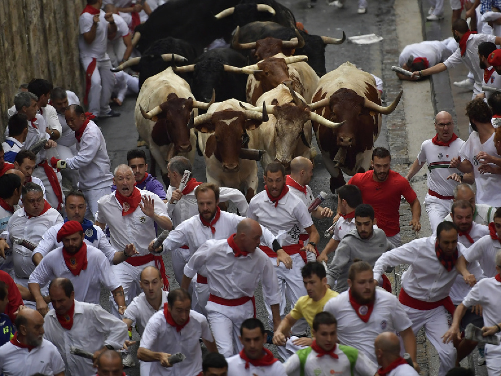 Festival sv. Fermína v Pamplone každoročne sprevádza beh s býkmi úzkymi uličkami mesta. 