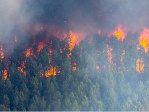 Rozsiahle lesné požiare aj naďalej sužujú Švédsko