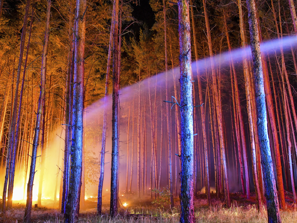 Nemecko sužuje lesný požiar.
