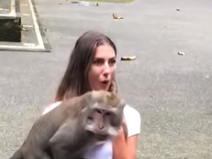 Mladá turistka zostala zo správania opíc v šoku.