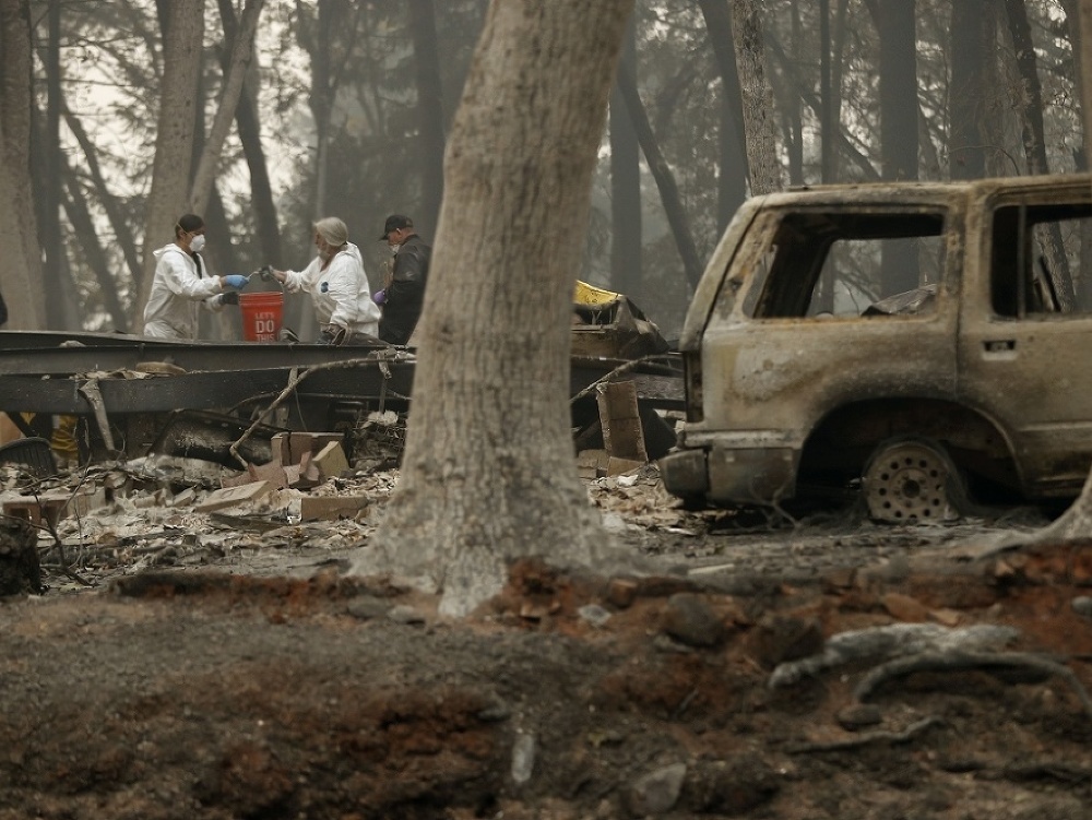 Situácia vo vyhorených lesoch