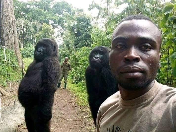 Gorily pózovali na selfie so svojimi záchrancami