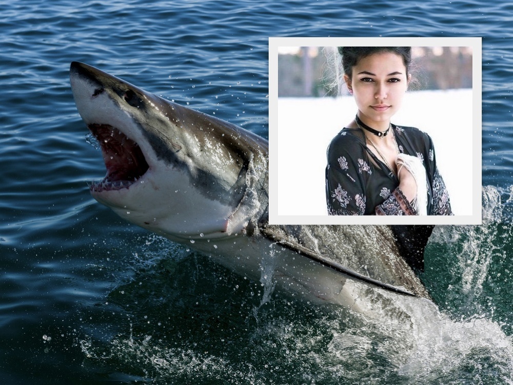 Ilustračný obrázok