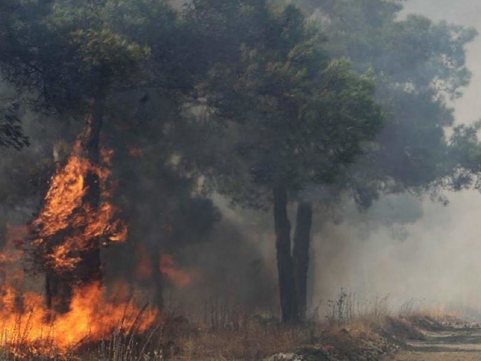 Na juhu Grécka sa lesom šíri veľký prírodný požiar