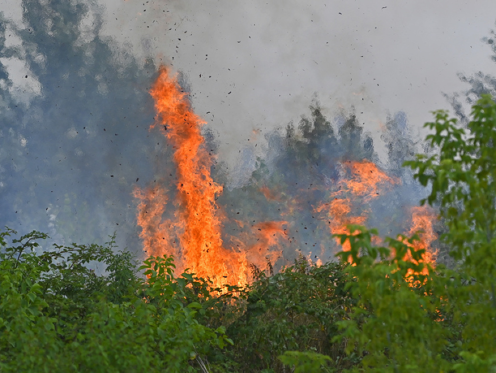 Požiar na Žabom majeri v bratislavskej Rači 
