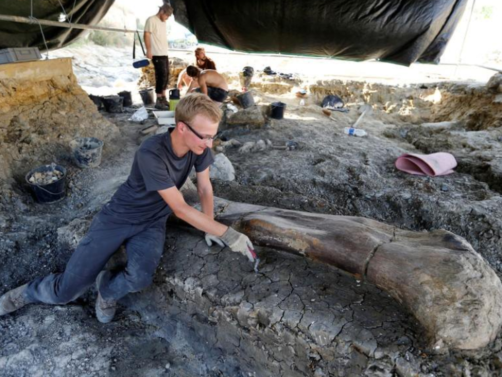 Vedci objavili gigantickú kosť dinosaura