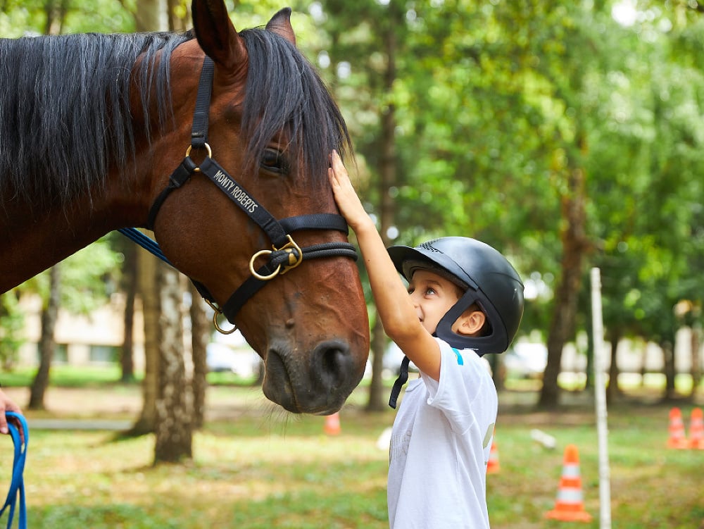 Keď kone pomáhajú liečiť boľavú dušu či podporovať zážitkové učenie
