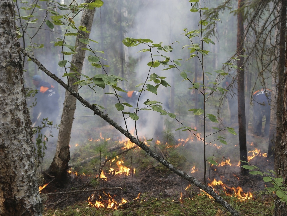 Za posledných 24 hodín 53 lesných požiarov na ploche 61.000 hektárov.