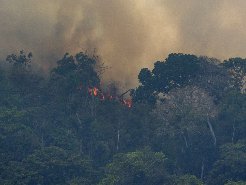 Požiare v amozonskom dažďovom pralese neutíchajú. 